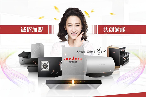 奧帥油煙機(jī)加盟