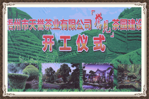 天譽(yù)名茶加盟
