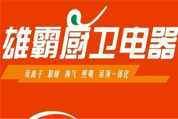 雄霸電器加盟