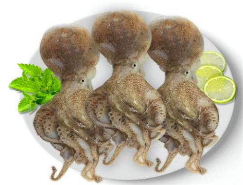 渝南火鍋食材超市加盟