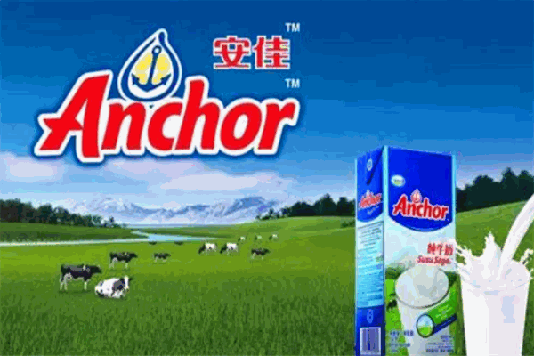 安佳純牛奶加盟