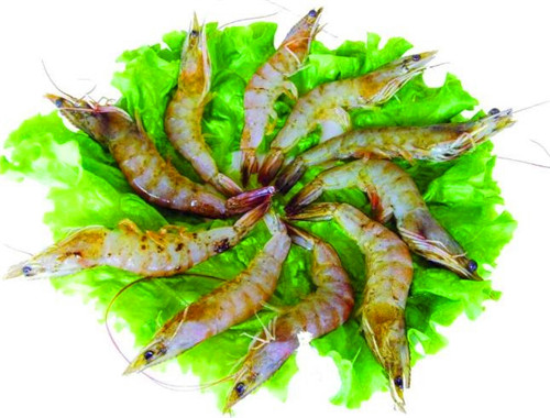 鍋有道火鍋食材超市加盟