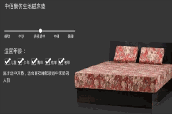 中佰康仿生地磁床墊