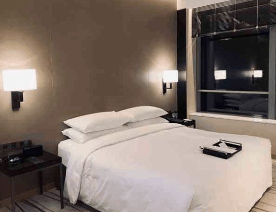 尼依格羅酒店