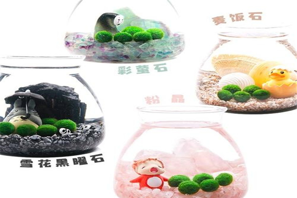 生態(tài)家加盟