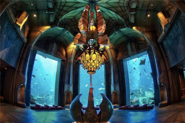 巨金水族用品加盟