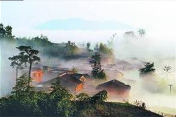 神奇養(yǎng)生畫(huà)坊加盟