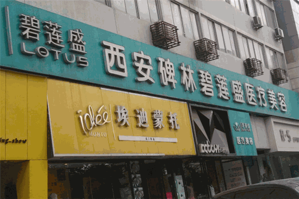 碧蓮盛植發(fā)加盟