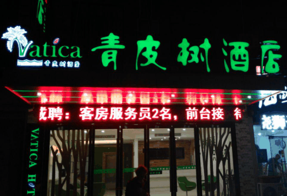 青皮樹酒店