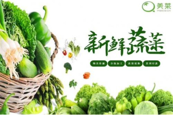 美菜網(wǎng)加盟