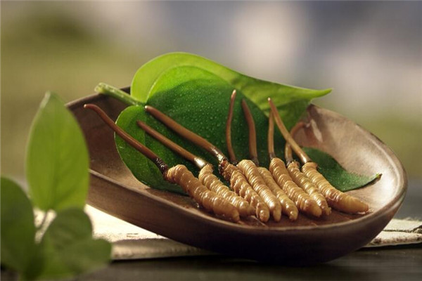 東陽(yáng)光鮮草保健食品