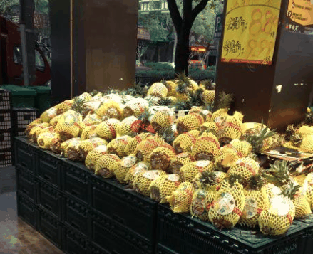 草摩家水果