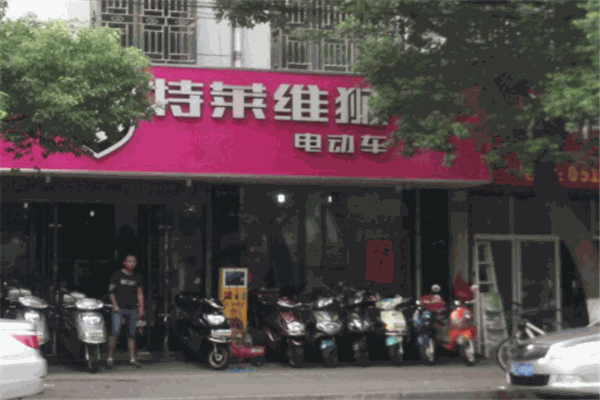 特萊維獅電動(dòng)車(chē)加盟
