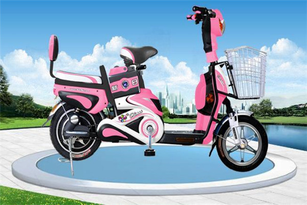 綠亮電動(dòng)車加盟