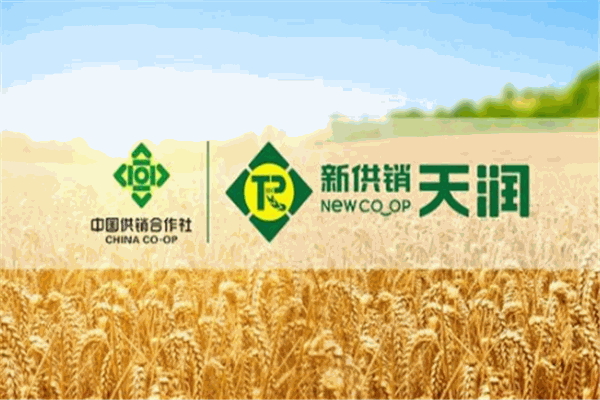 天潤(rùn)糧油加盟