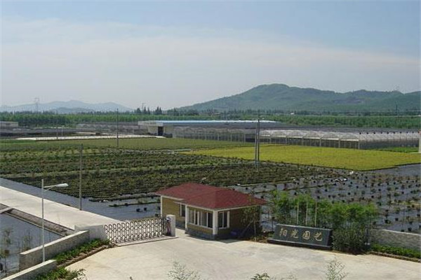 陽光農(nóng)業(yè)加盟