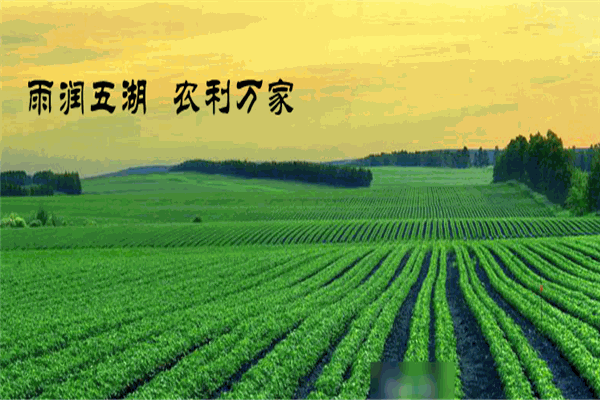 雨農(nóng)生態(tài)加盟