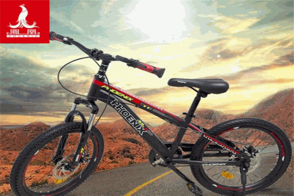鳳凰自行車(chē)加盟