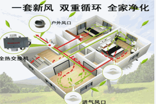 風(fēng)果