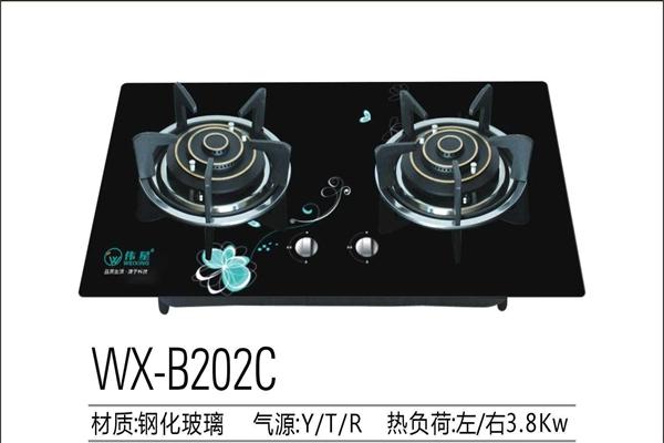 偉星廚衛(wèi)電器加盟