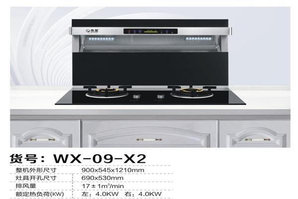 偉星廚衛(wèi)電器加盟