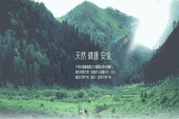 易加易出行加盟