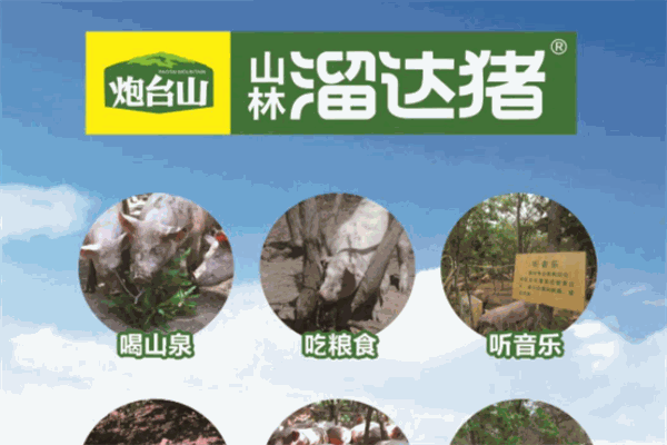 山林溜達豬加盟