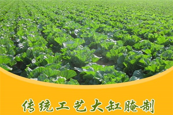 鴻鑫食品加盟