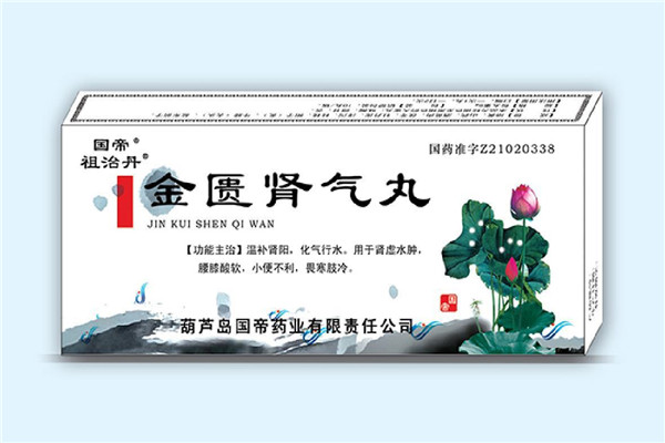 國帝藥業(yè)加盟