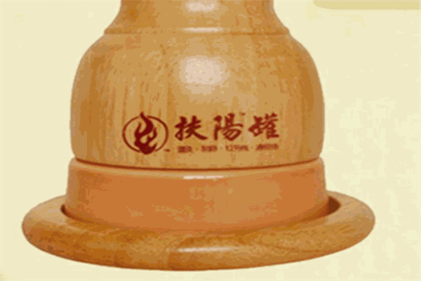 養(yǎng)生扶陽(yáng)罐加盟