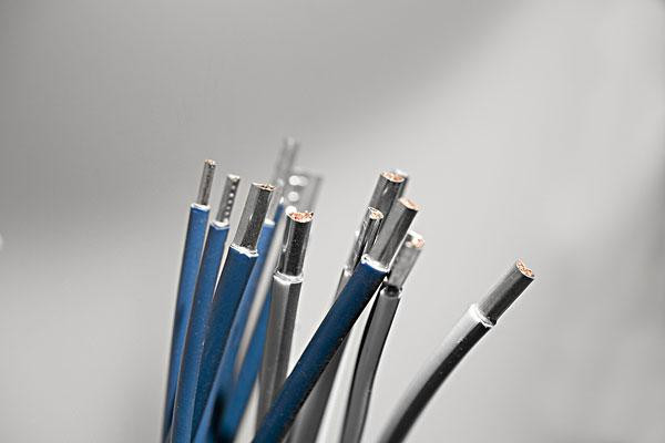力為電子加盟