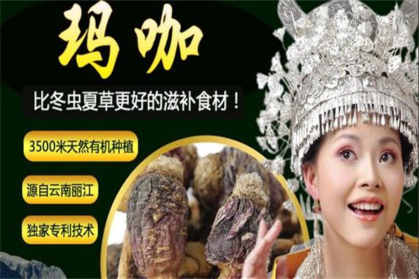 古之極瑪咖加盟