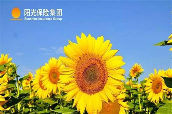 陽光車生活加盟