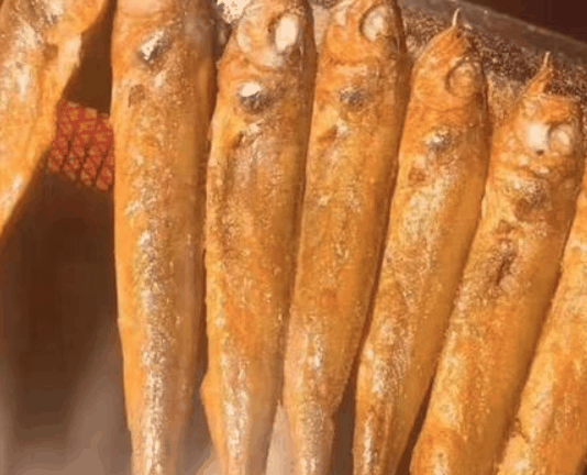 夜貓子小黃魚(yú)