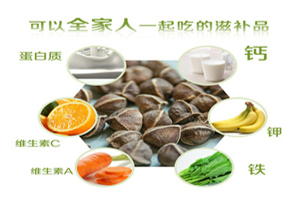 美極養(yǎng)極辣木加盟