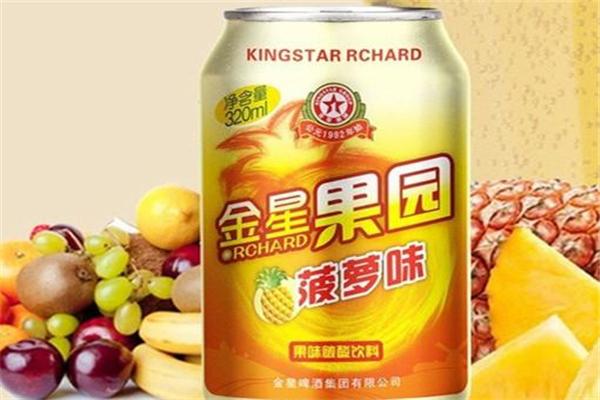 金星食品加盟
