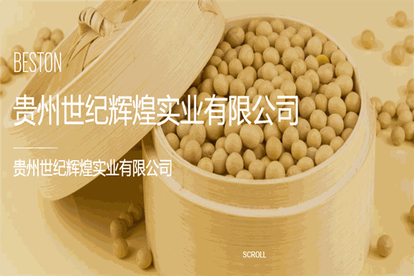 世紀(jì)輝煌食品加盟