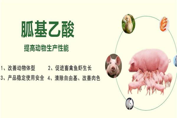 希友飼料加盟