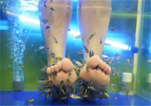 魚兒樂(lè)魚療館加盟