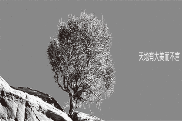大美天第裝飾加盟