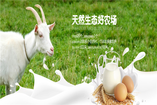 恩羊山羊奶加盟