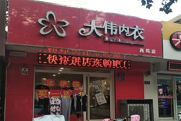 大偉內(nèi)衣加盟