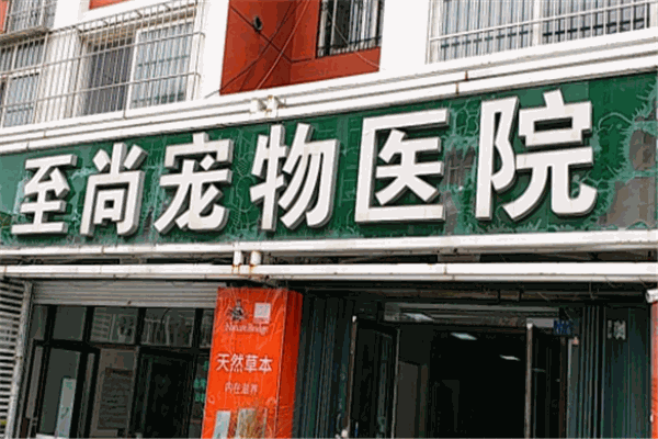至尚寵物醫(yī)院加盟