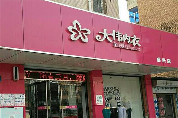 大偉內(nèi)衣加盟