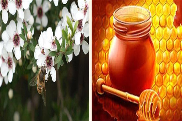 百花蜂產(chǎn)品加盟