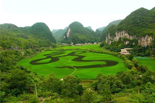 豐有農(nóng)業(yè)加盟