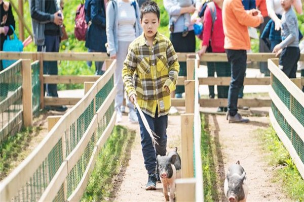 五谷地度假農(nóng)場加盟