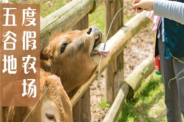 五谷地度假農(nóng)場加盟