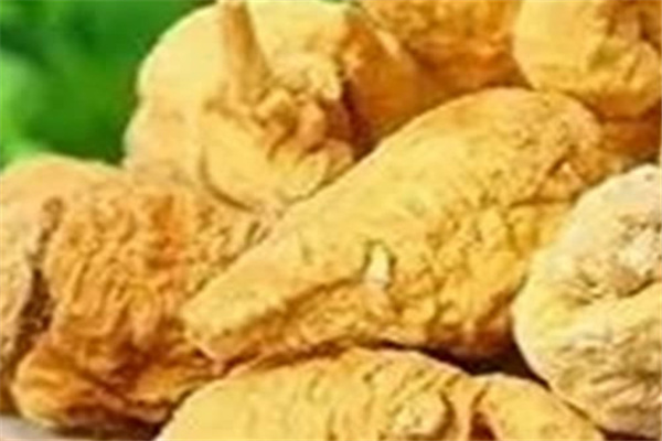 天麗斯瑪咖加盟