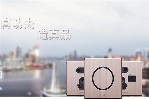 羅貝開關加盟
